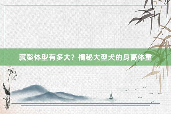 藏獒体型有多大？揭秘大型犬的身高体重