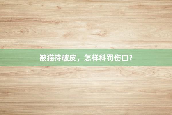 被猫持破皮，怎样科罚伤口？